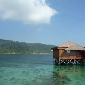 Gayana Marine